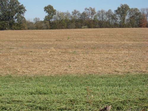 Property photo 13 - 110+/- Acres offered in 4 Tillable Tracts